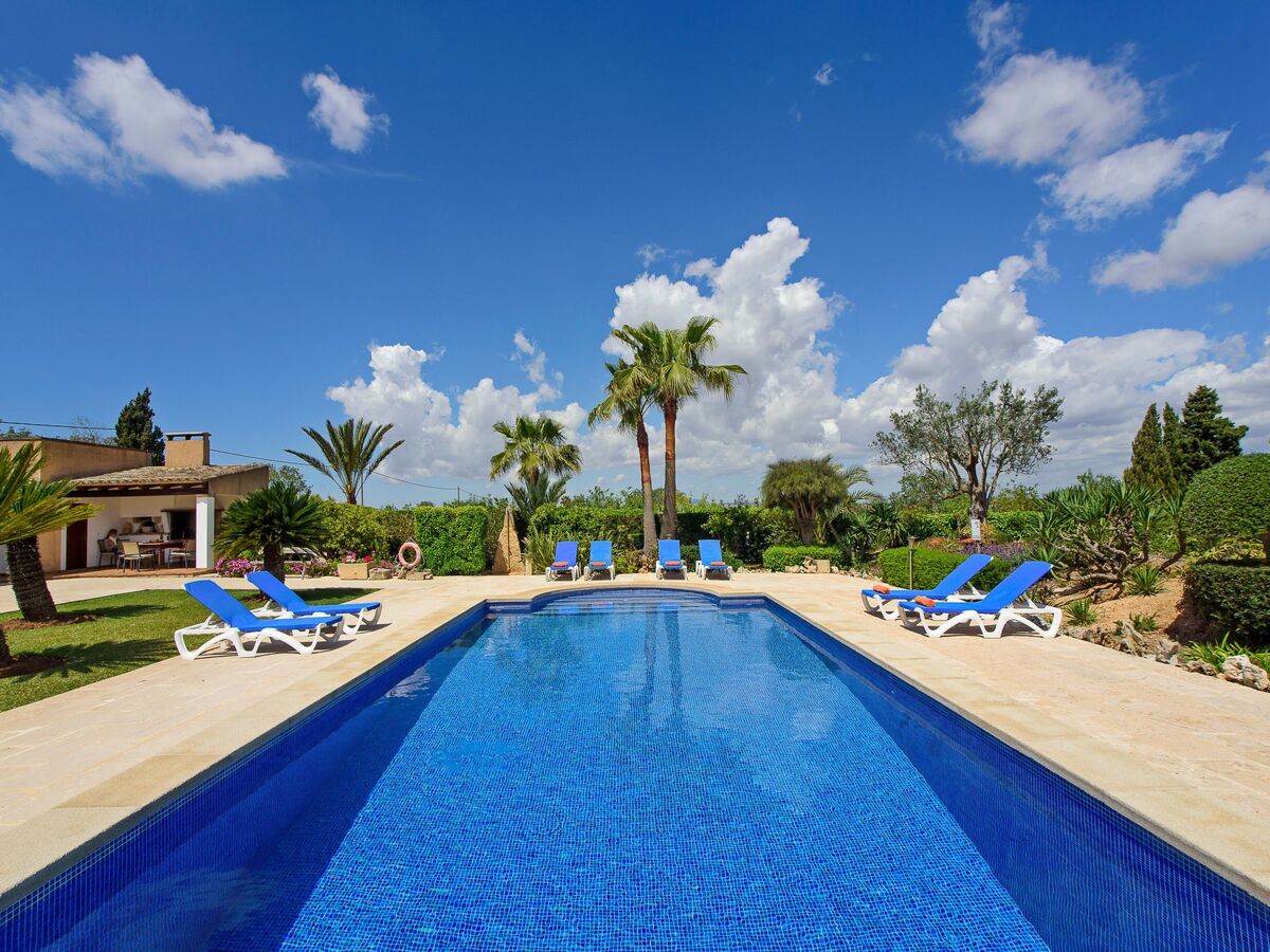 Teuler Petit, maison de caractère 8 pers. à Mallorca - Photo 41