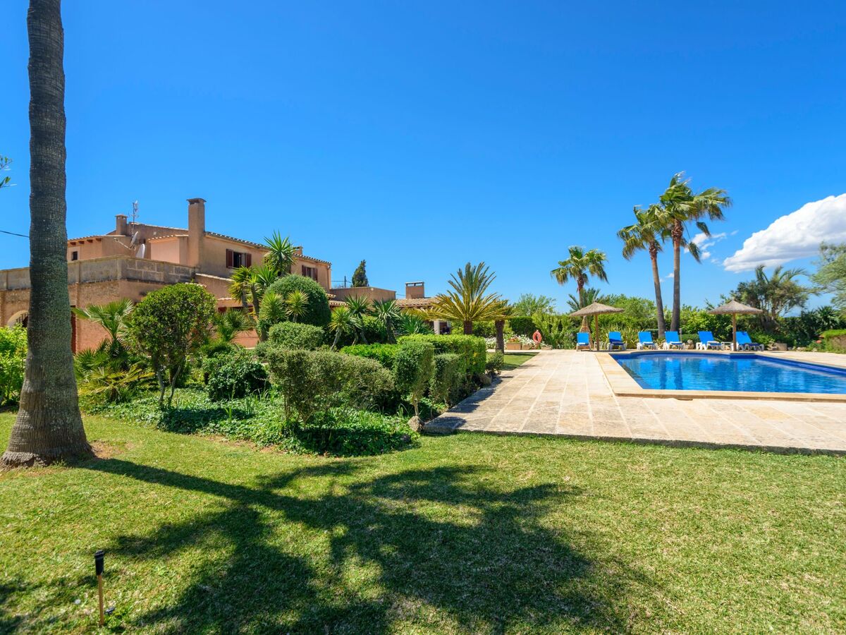 Teuler Petit, maison de caractère 8 pers. à Mallorca - Photo 44