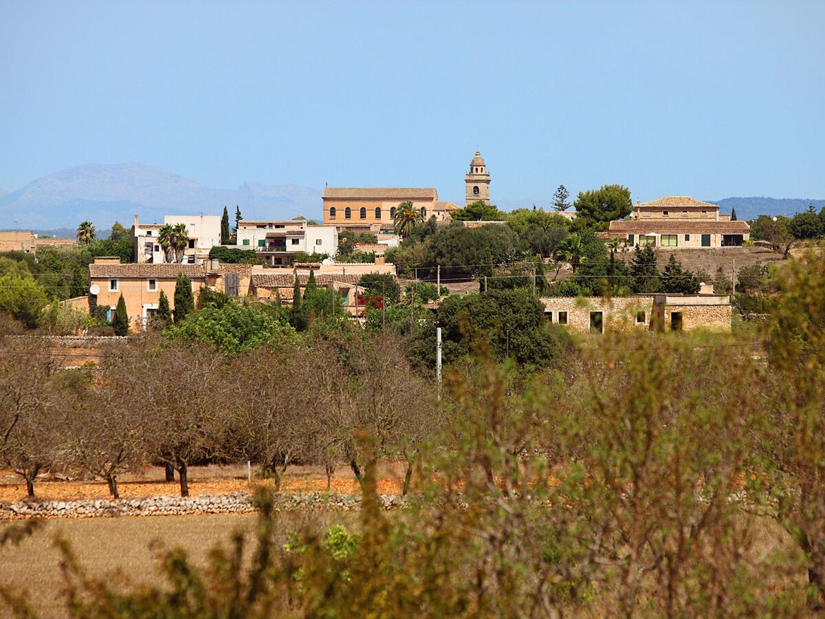 Teuler Petit, maison de caractère 8 pers. à Mallorca - Photo 46