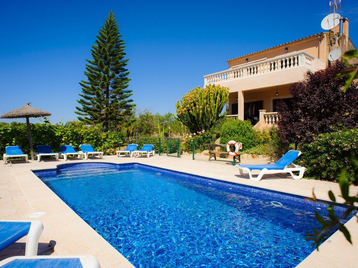 Finca Miquel Tomas : maison 9 pers, piscine privée - Photo 1
