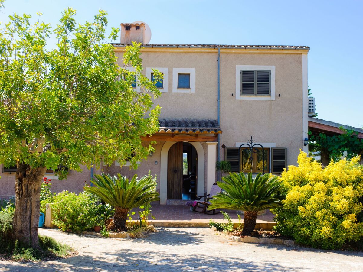 Finca Miquel Tomas : maison 9 pers, piscine privée - Photo 6
