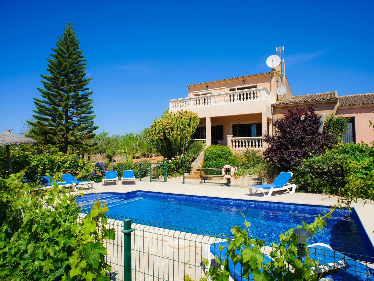 Finca Miquel Tomas : maison 9 pers, piscine privée - Photo 14