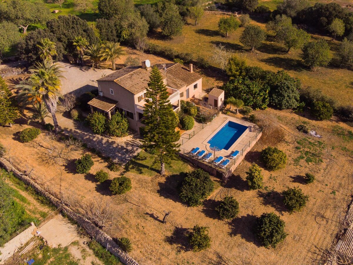 Finca Miquel Tomas : maison 9 pers, piscine privée - Photo 15