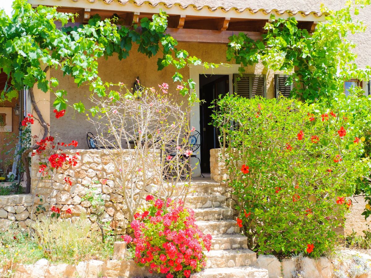 Finca Miquel Tomas : maison 9 pers, piscine privée - Photo 19