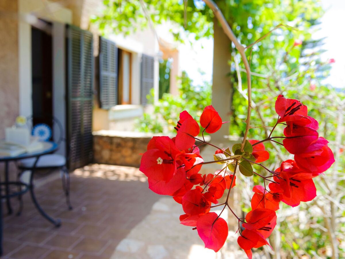 Finca Miquel Tomas : maison 9 pers, piscine privée - Photo 37