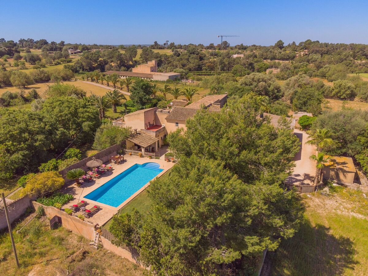 Margarita Cas Concos – Finca rurale avec piscine - Photo 5