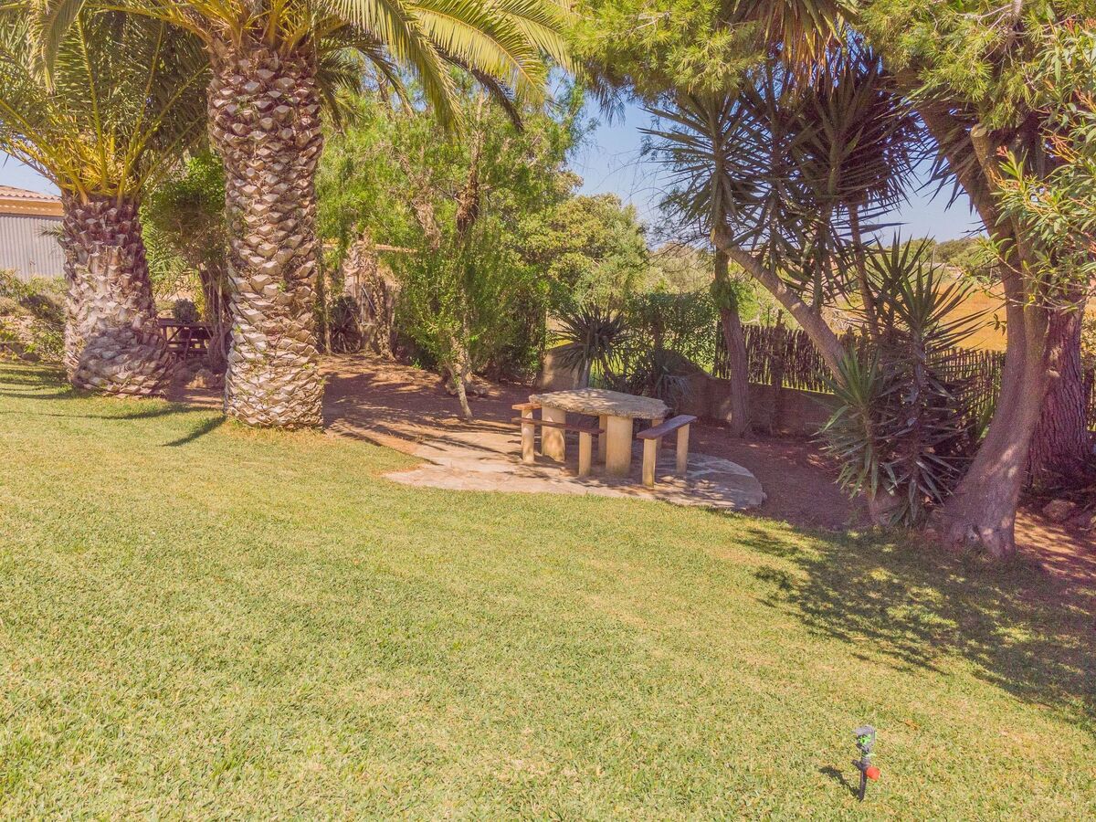 Margarita Cas Concos – Finca rurale avec piscine - Photo 9