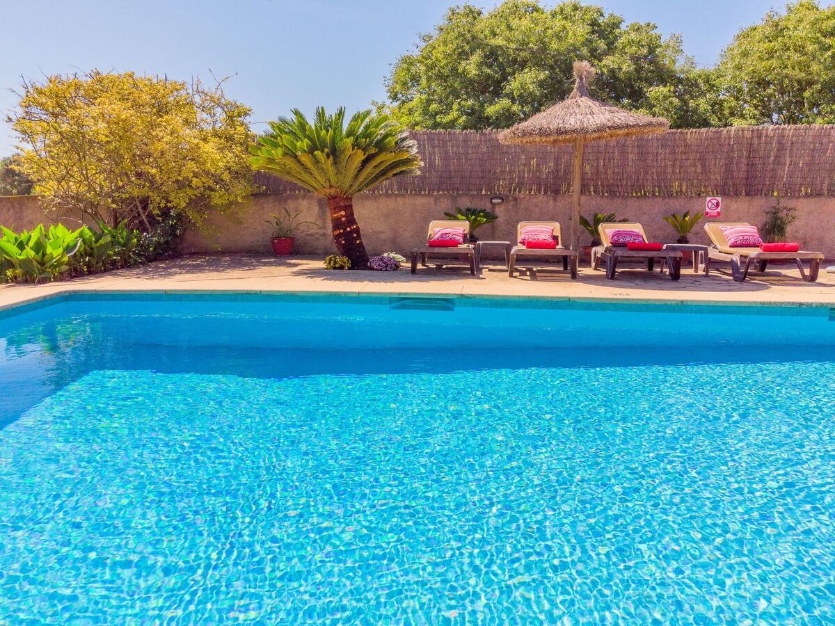 Margarita Cas Concos – Finca rurale avec piscine - Photo 10