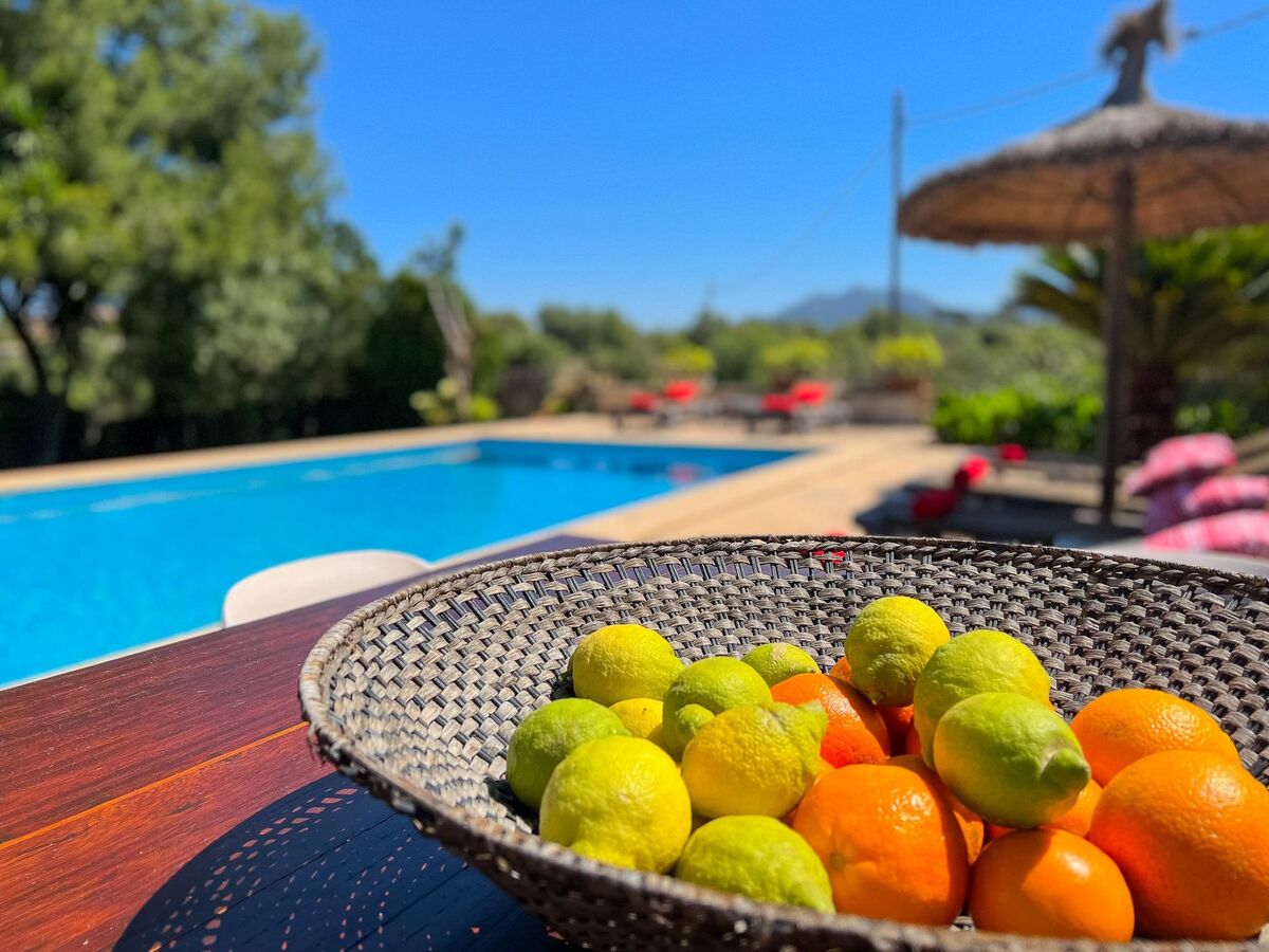 Margarita Cas Concos – Finca rurale avec piscine - Photo 18