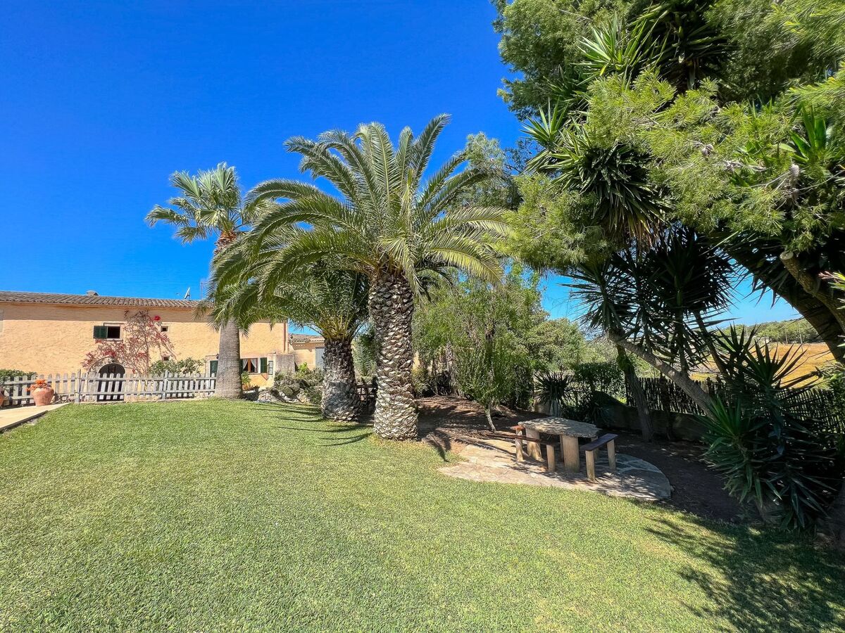 Margarita Cas Concos – Finca rurale avec piscine - Photo 22