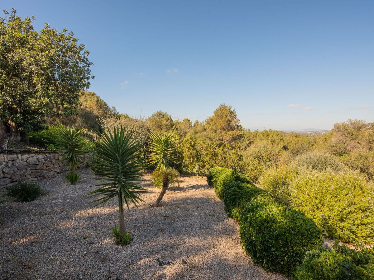 Roca, finca en pierre avec piscine et vues côtières - Photo 28