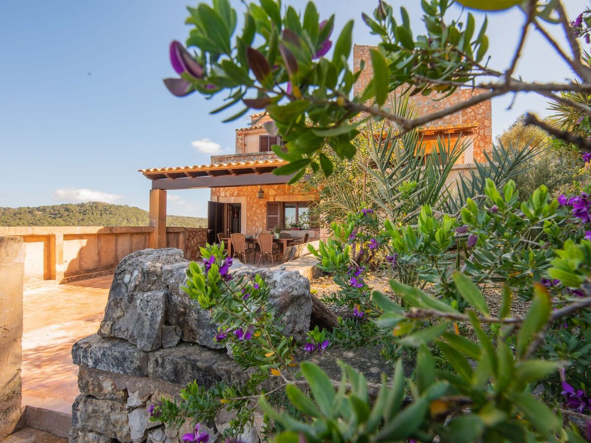 Roca, finca en pierre avec piscine et vues côtières - Photo 29