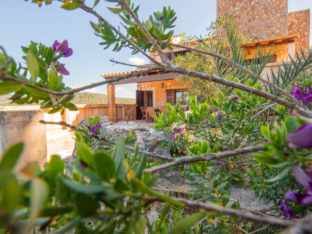 Roca, finca en pierre avec piscine et vues côtières - Photo 30