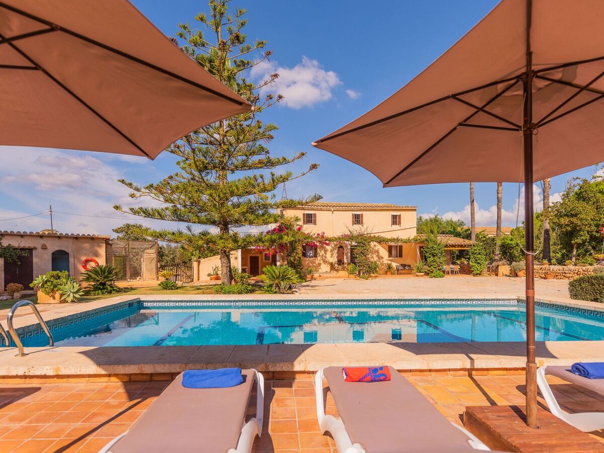 Maison Sitjoles à Campos – jardin 2500 m² avec paons et piscine - Photo 1