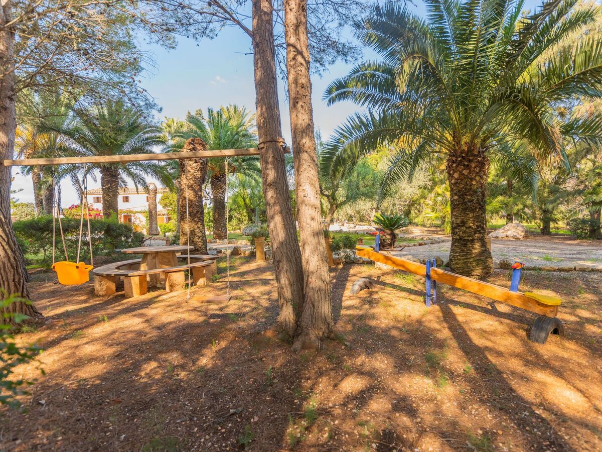 Maison Sitjoles à Campos – jardin 2500 m² avec paons et piscine - Photo 3