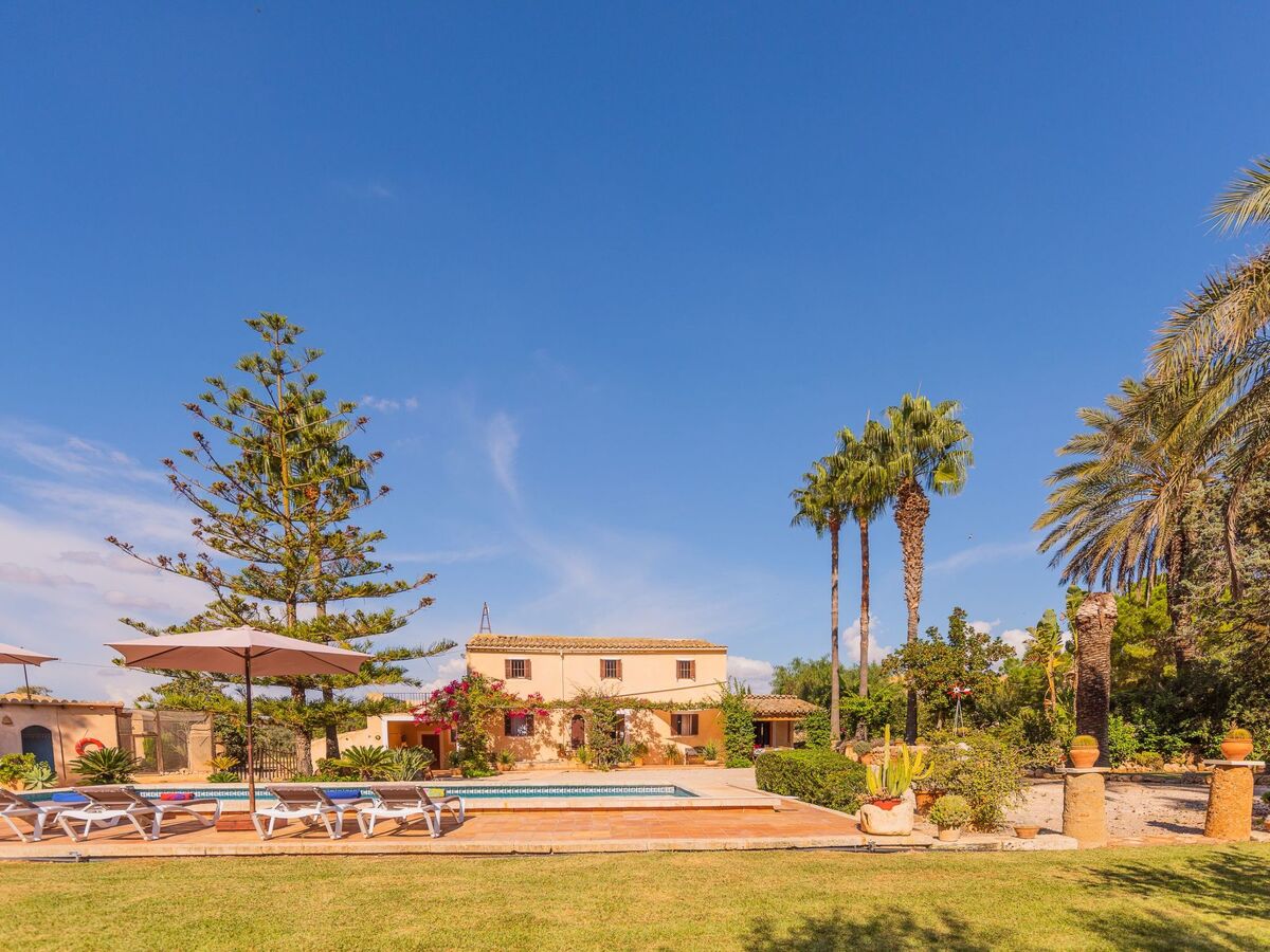Maison Sitjoles à Campos – jardin 2500 m² avec paons et piscine - Photo 4