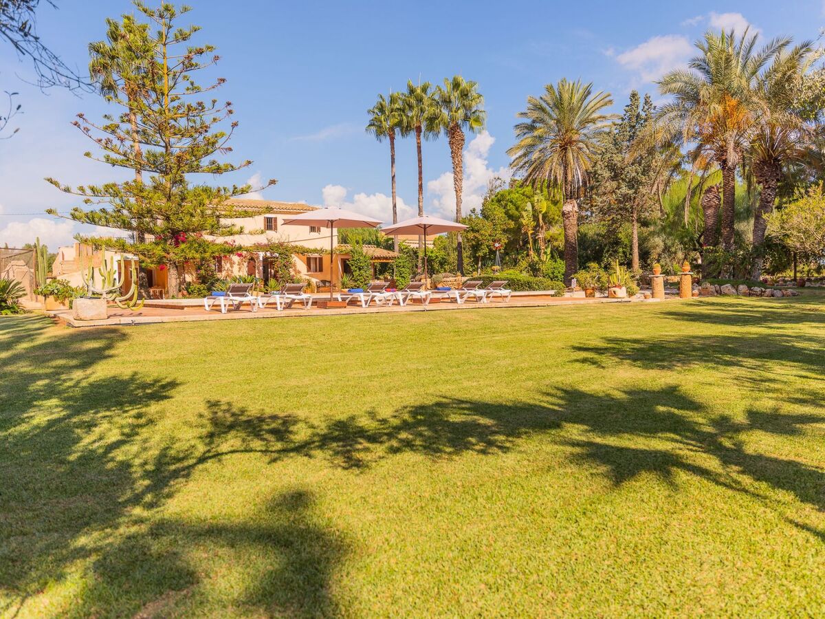 Maison Sitjoles à Campos – jardin 2500 m² avec paons et piscine - Photo 5