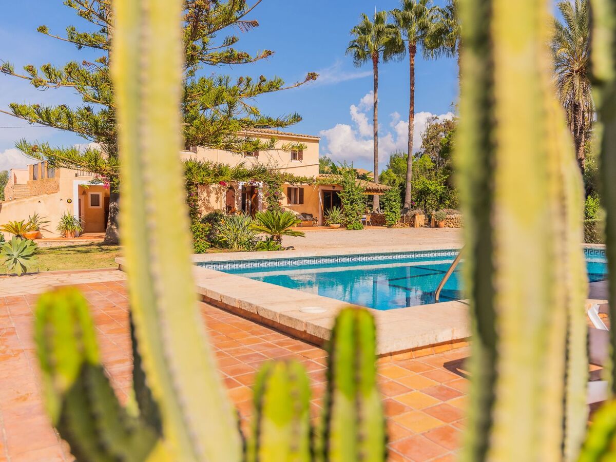 Maison Sitjoles à Campos – jardin 2500 m² avec paons et piscine - Photo 6