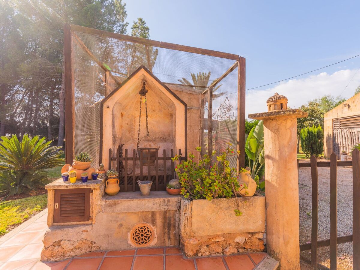 Maison Sitjoles à Campos – jardin 2500 m² avec paons et piscine - Photo 9