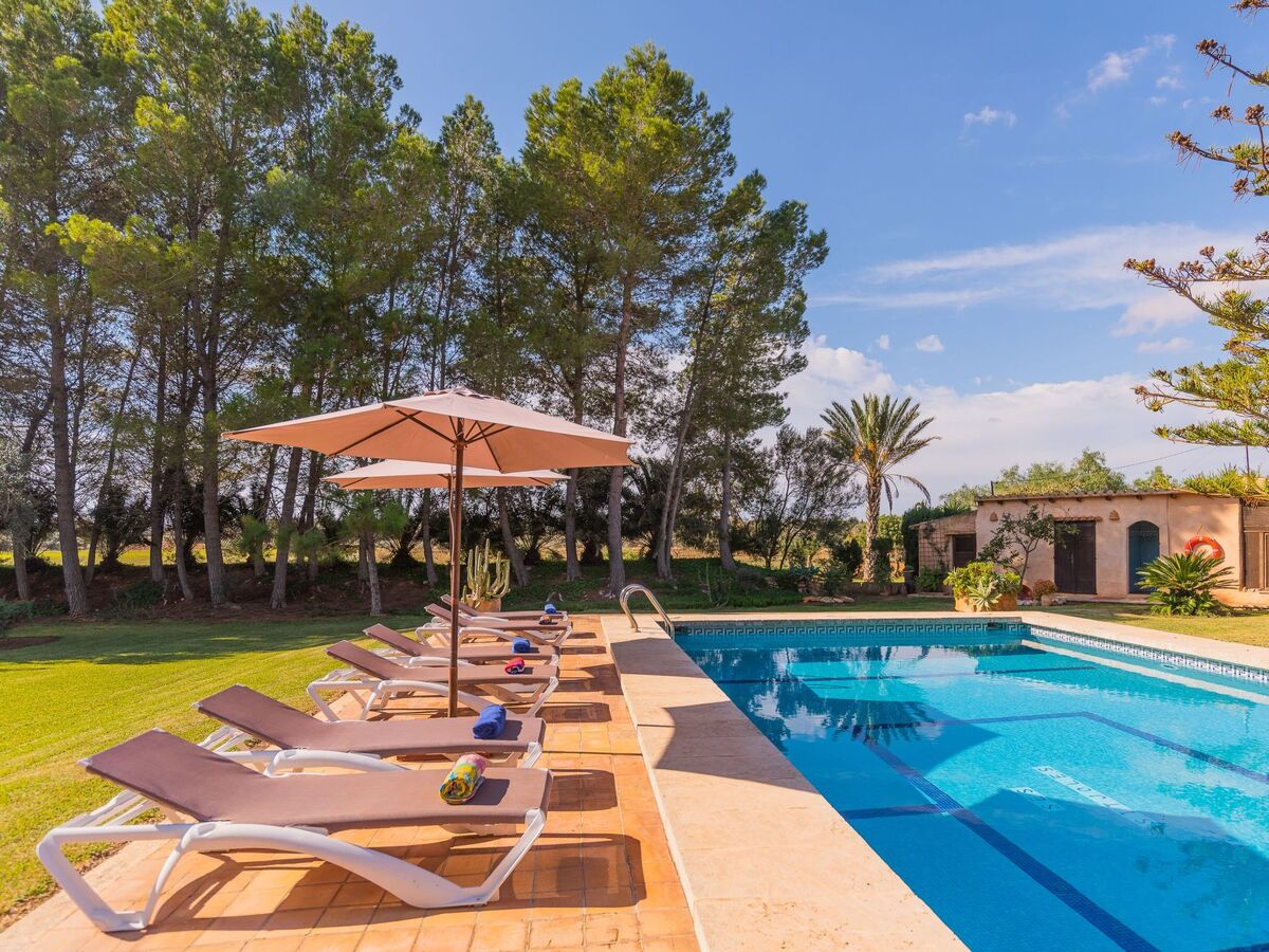 Maison Sitjoles à Campos – jardin 2500 m² avec paons et piscine - Photo 11