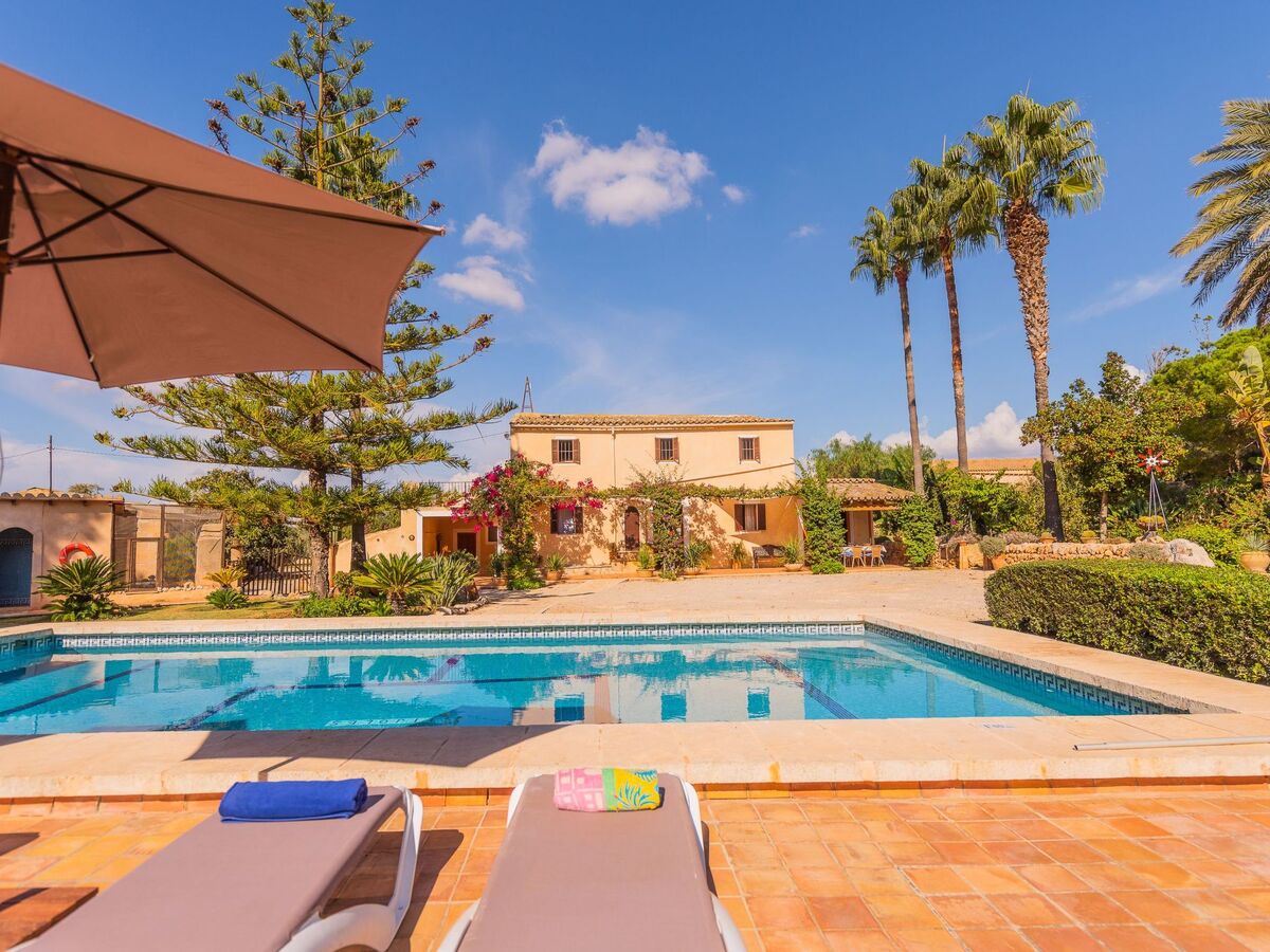 Maison Sitjoles à Campos – jardin 2500 m² avec paons et piscine - Photo 12