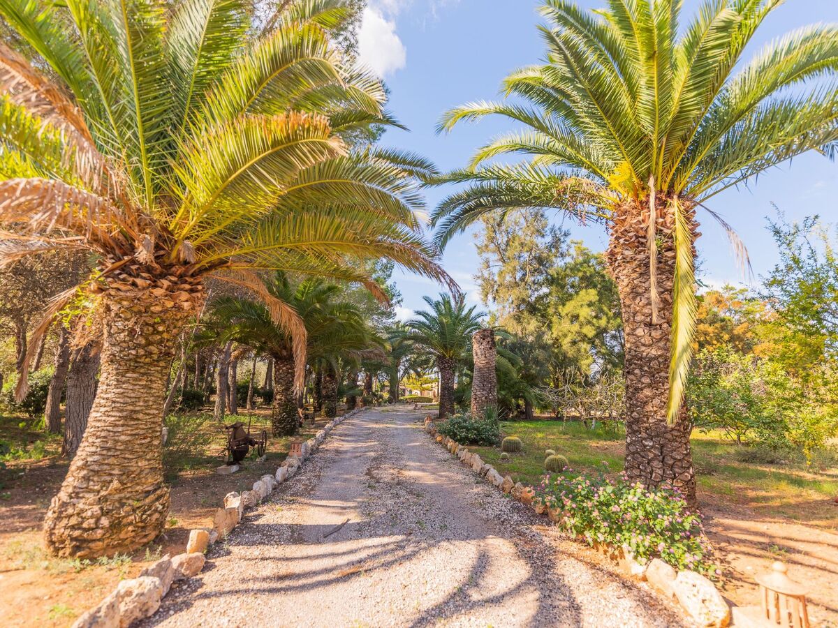 Maison Sitjoles à Campos – jardin 2500 m² avec paons et piscine - Photo 13