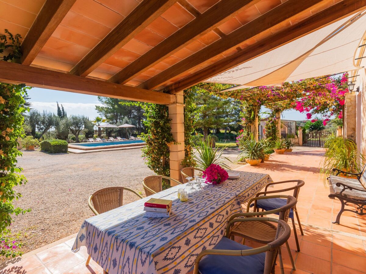 Maison Sitjoles à Campos – jardin 2500 m² avec paons et piscine - Photo 16