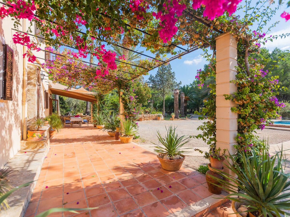 Maison Sitjoles à Campos – jardin 2500 m² avec paons et piscine - Photo 18