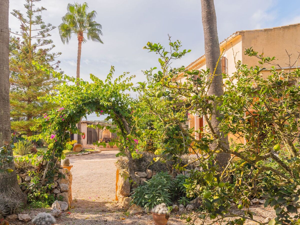Maison Sitjoles à Campos – jardin 2500 m² avec paons et piscine - Photo 44