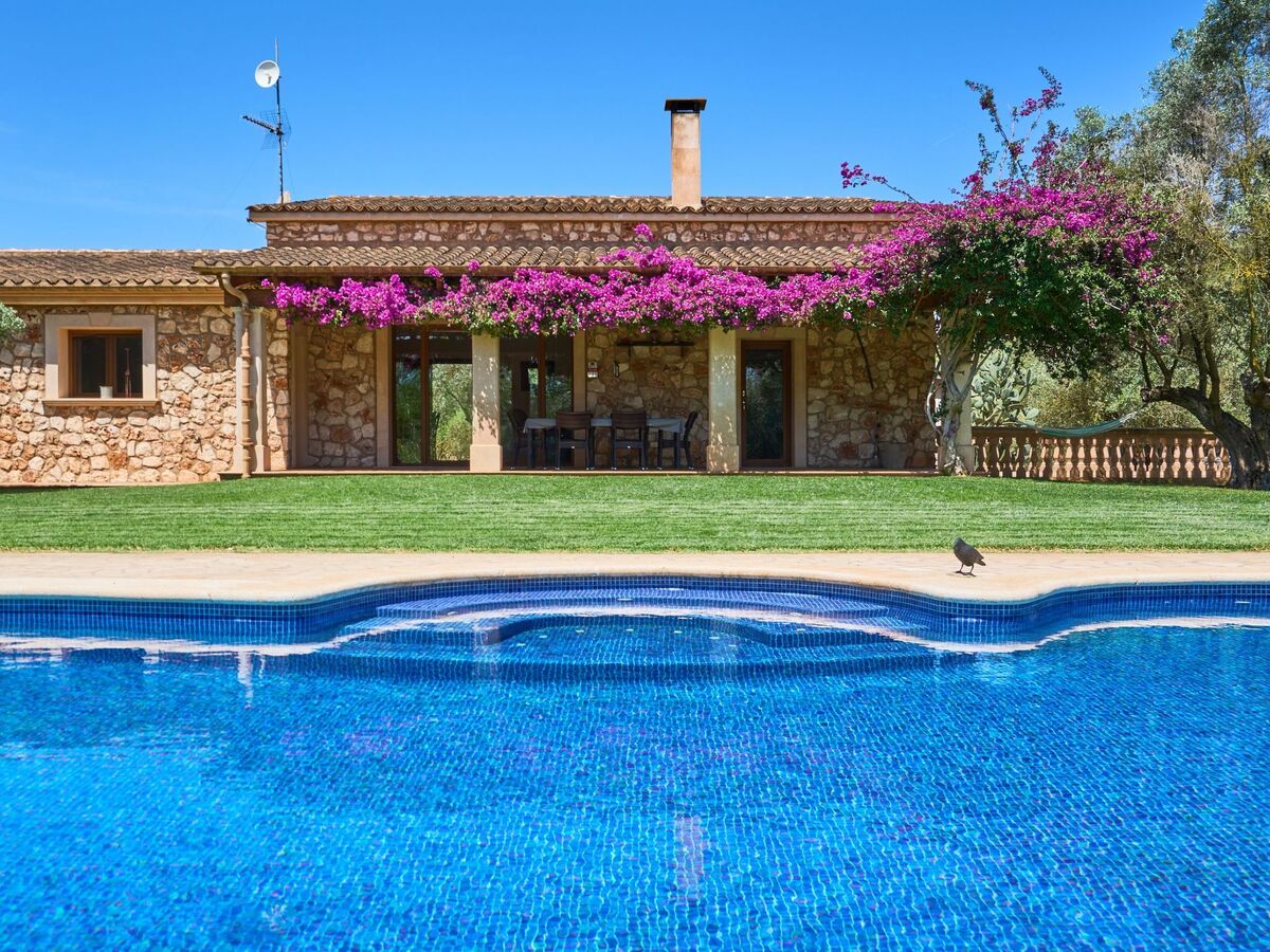 Finca Ailen – Maison 6 pers. piscine à Felanitx - Photo 5