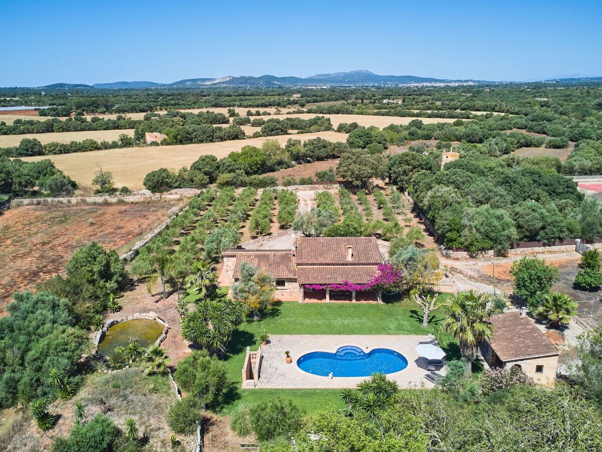 Finca Ailen – Maison 6 pers. piscine à Felanitx - Photo 11