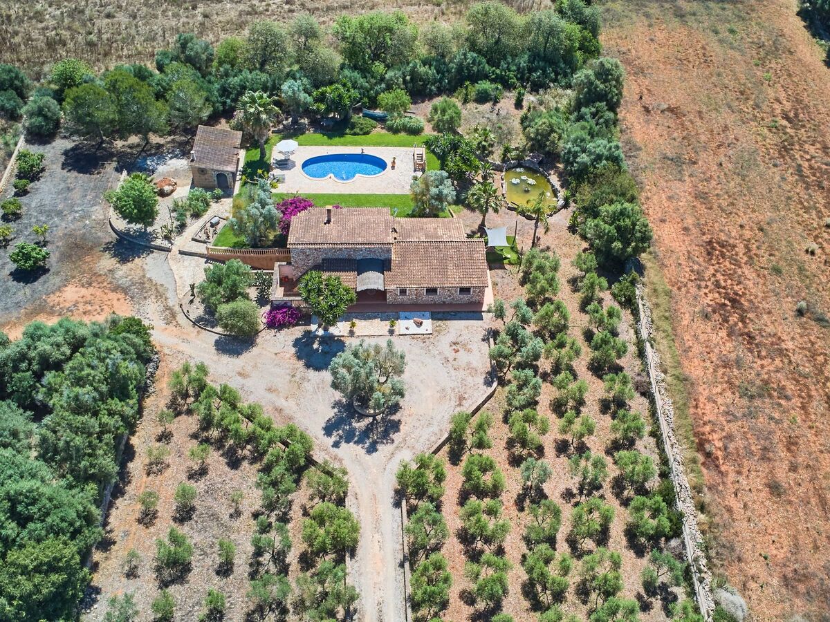 Finca Ailen – Maison 6 pers. piscine à Felanitx - Photo 13