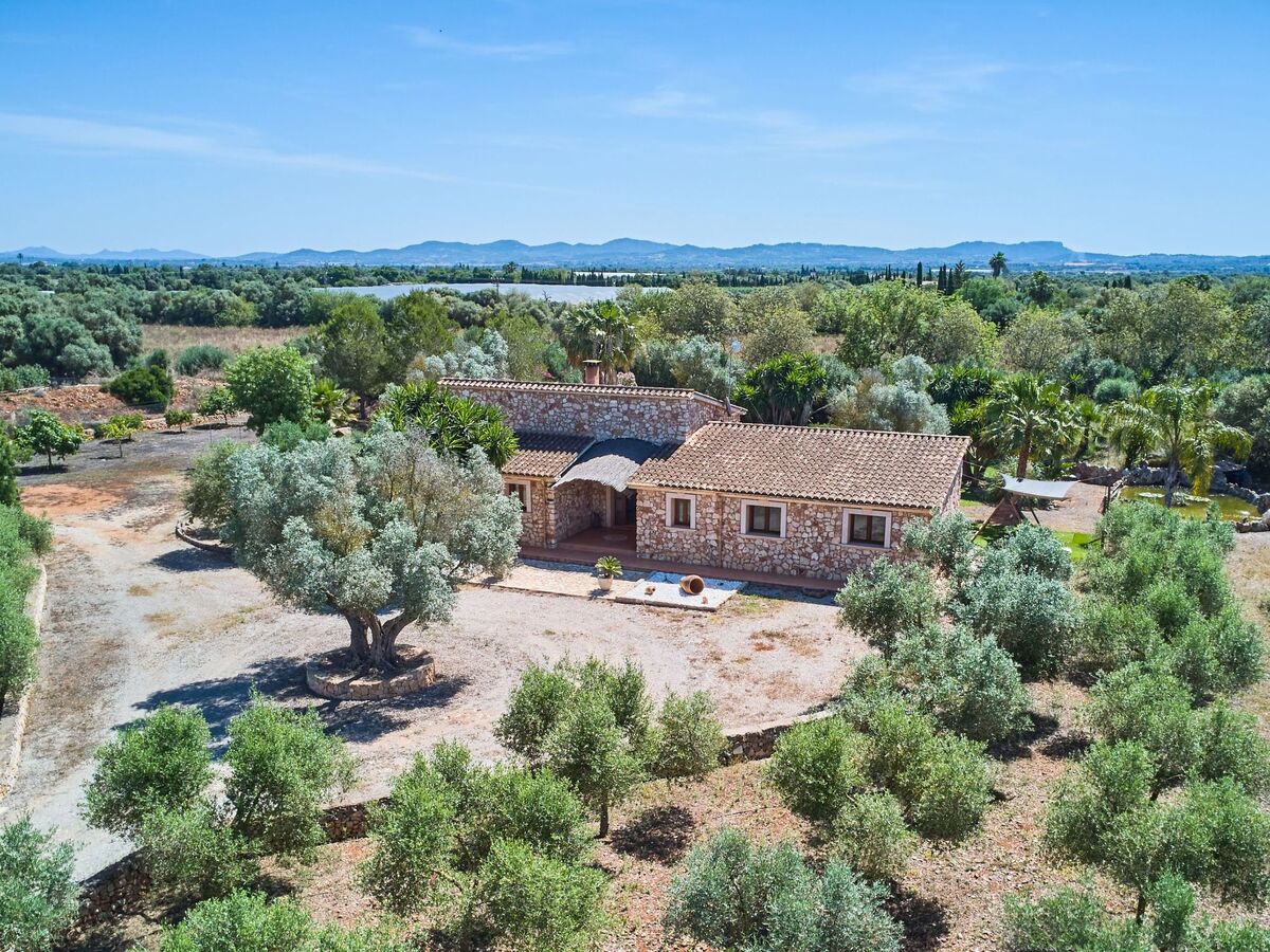 Finca Ailen – Maison 6 pers. piscine à Felanitx - Photo 15