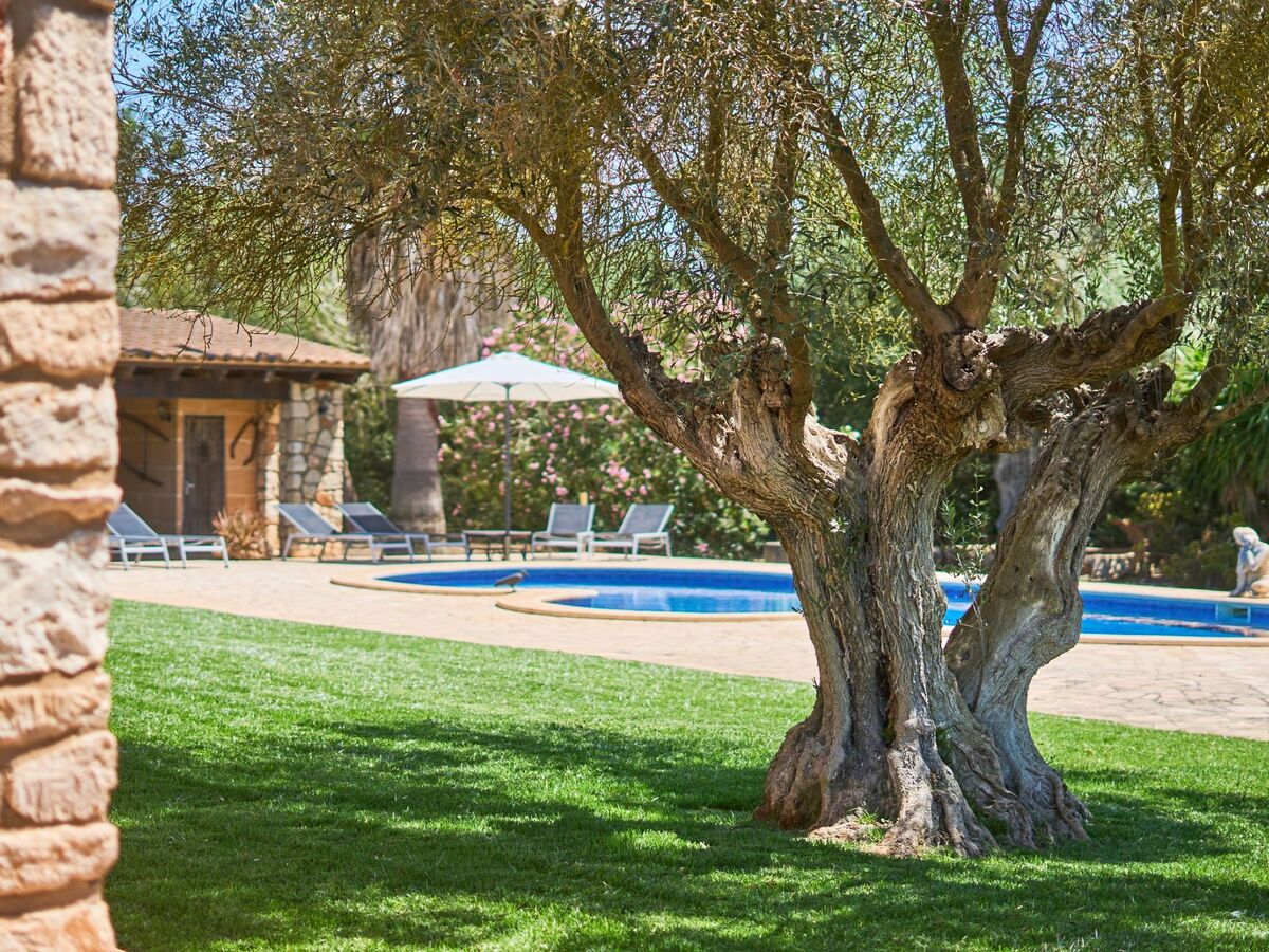 Finca Ailen – Maison 6 pers. piscine à Felanitx - Photo 18