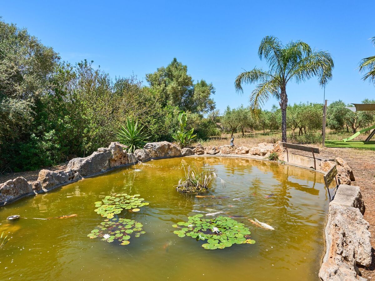 Finca Ailen – Maison 6 pers. piscine à Felanitx - Photo 21