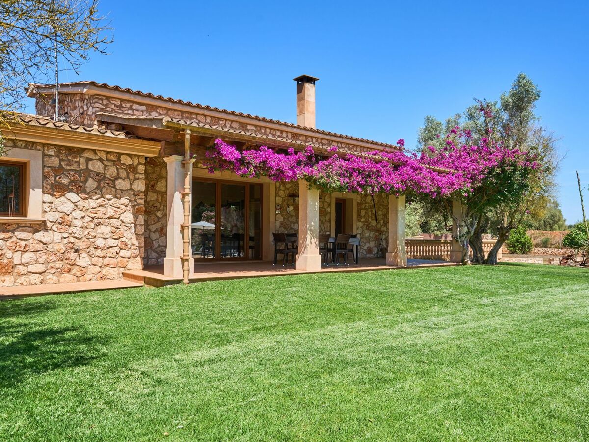 Finca Ailen – Maison 6 pers. piscine à Felanitx - Photo 24