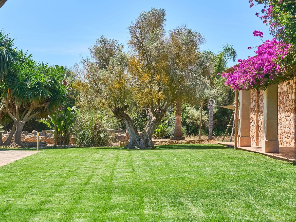 Finca Ailen – Maison 6 pers. piscine à Felanitx - Photo 26