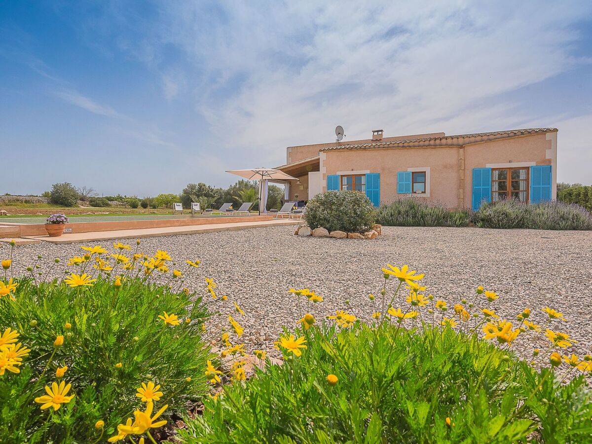 Tanca Gran – Maison rurale avec piscine à Felanitx - Photo 3