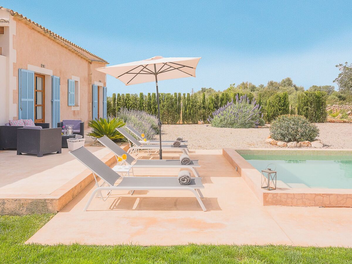 Tanca Gran – Maison rurale avec piscine à Felanitx - Photo 4