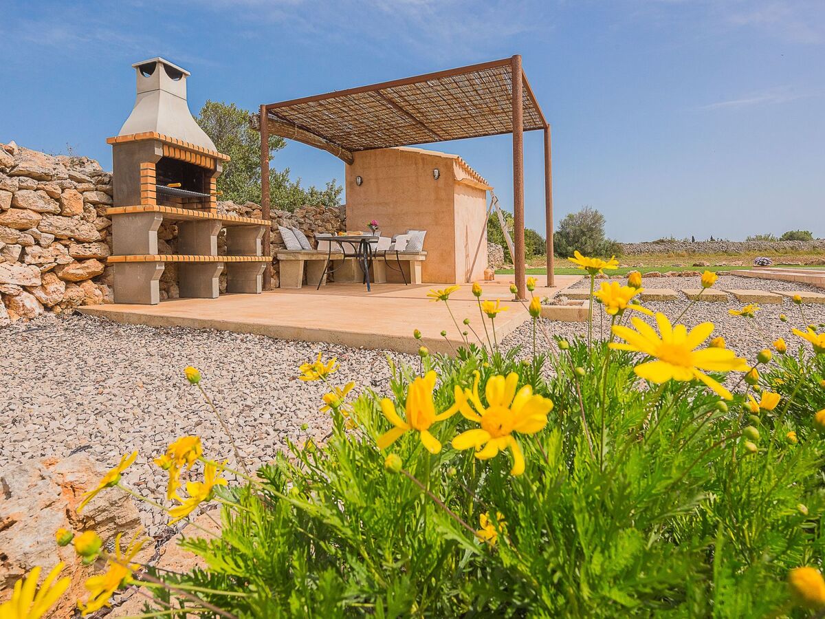 Tanca Gran – Maison rurale avec piscine à Felanitx - Photo 11