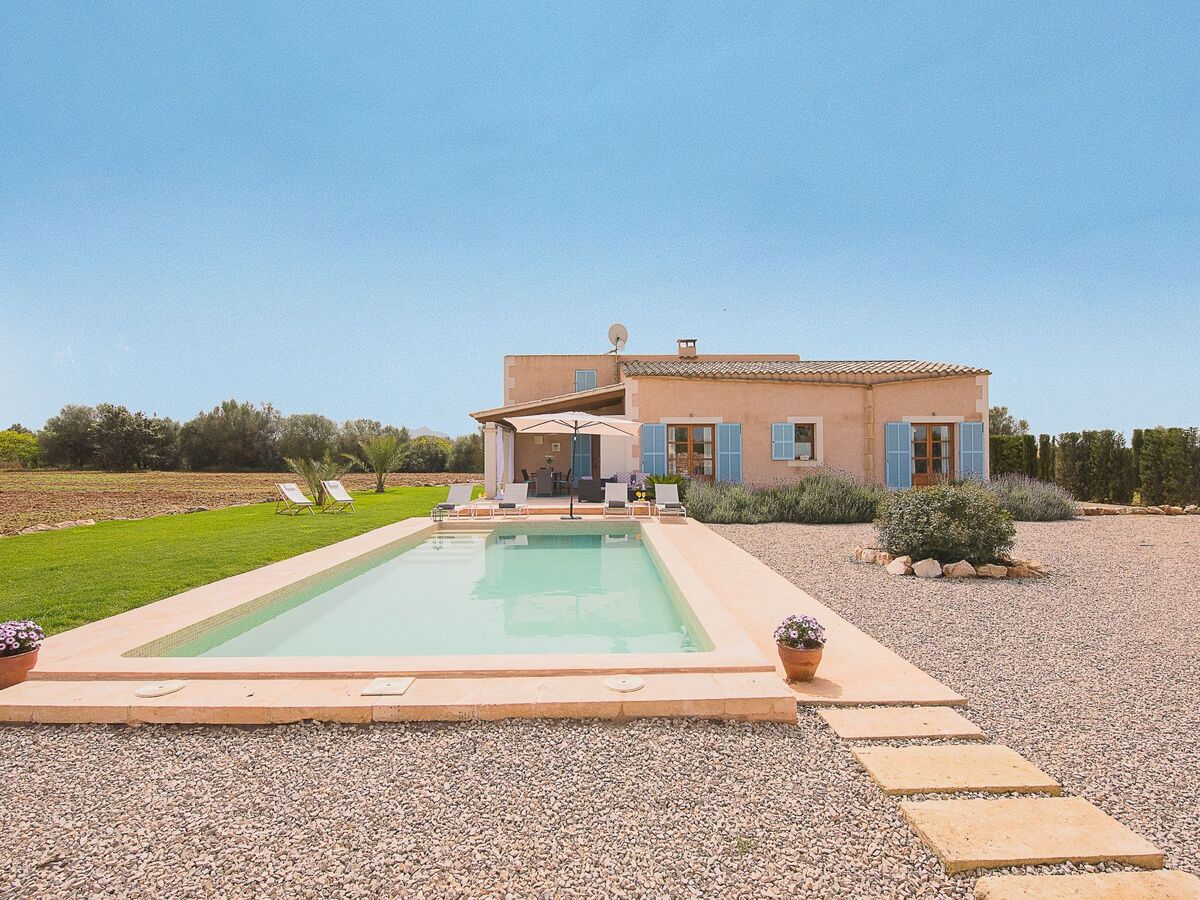 Tanca Gran – Maison rurale avec piscine à Felanitx - Photo 32