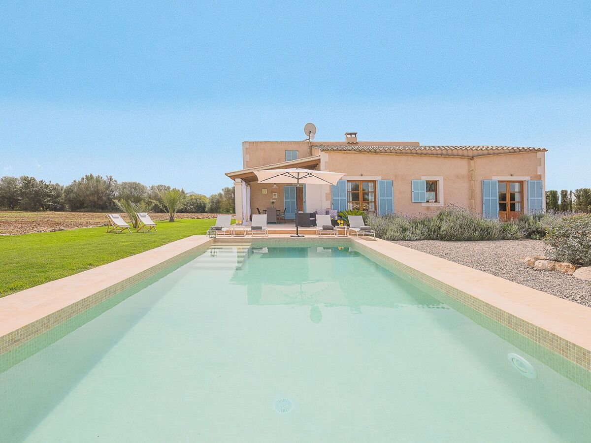 Tanca Gran – Maison rurale avec piscine à Felanitx - Photo 36