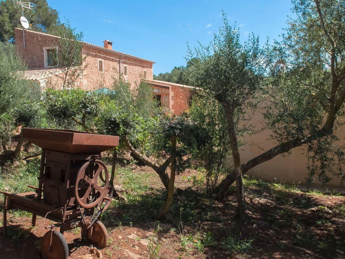 Salas Nou – Maison rurale 8 pers. avec piscine à Felanitx - Photo 6