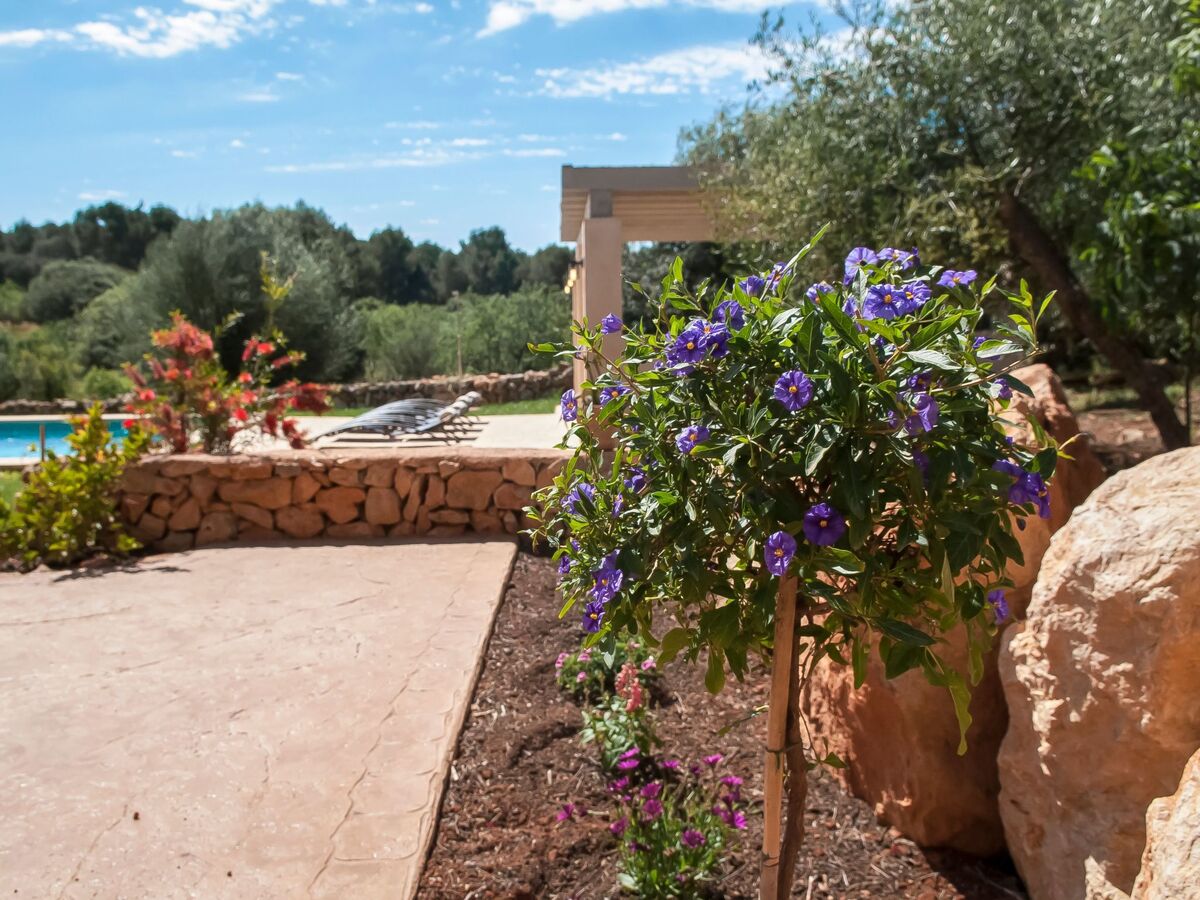 Salas Nou – Maison rurale 8 pers. avec piscine à Felanitx - Photo 8