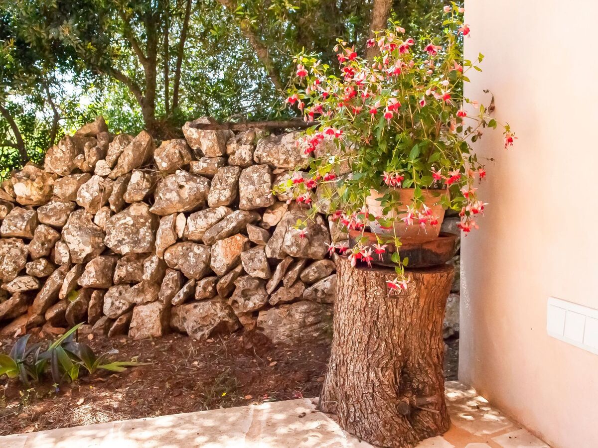 Salas Nou – Maison rurale 8 pers. avec piscine à Felanitx - Photo 46