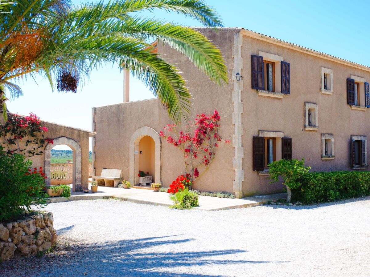 Era des Pou, maison de campagne 8 pers. à Felanitx - Photo 17