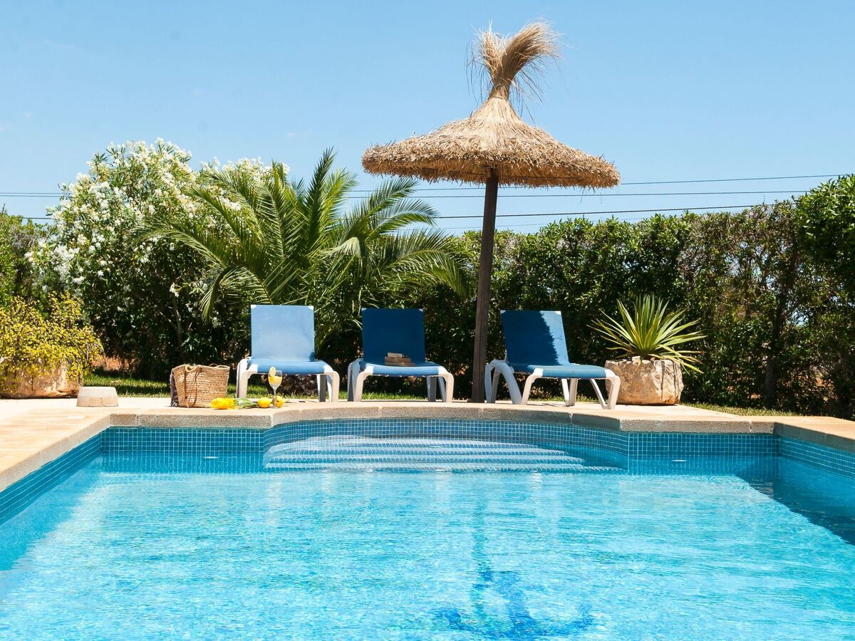 Tanca Nova – Finca traditionnelle 8 pers. avec piscine - Photo 4
