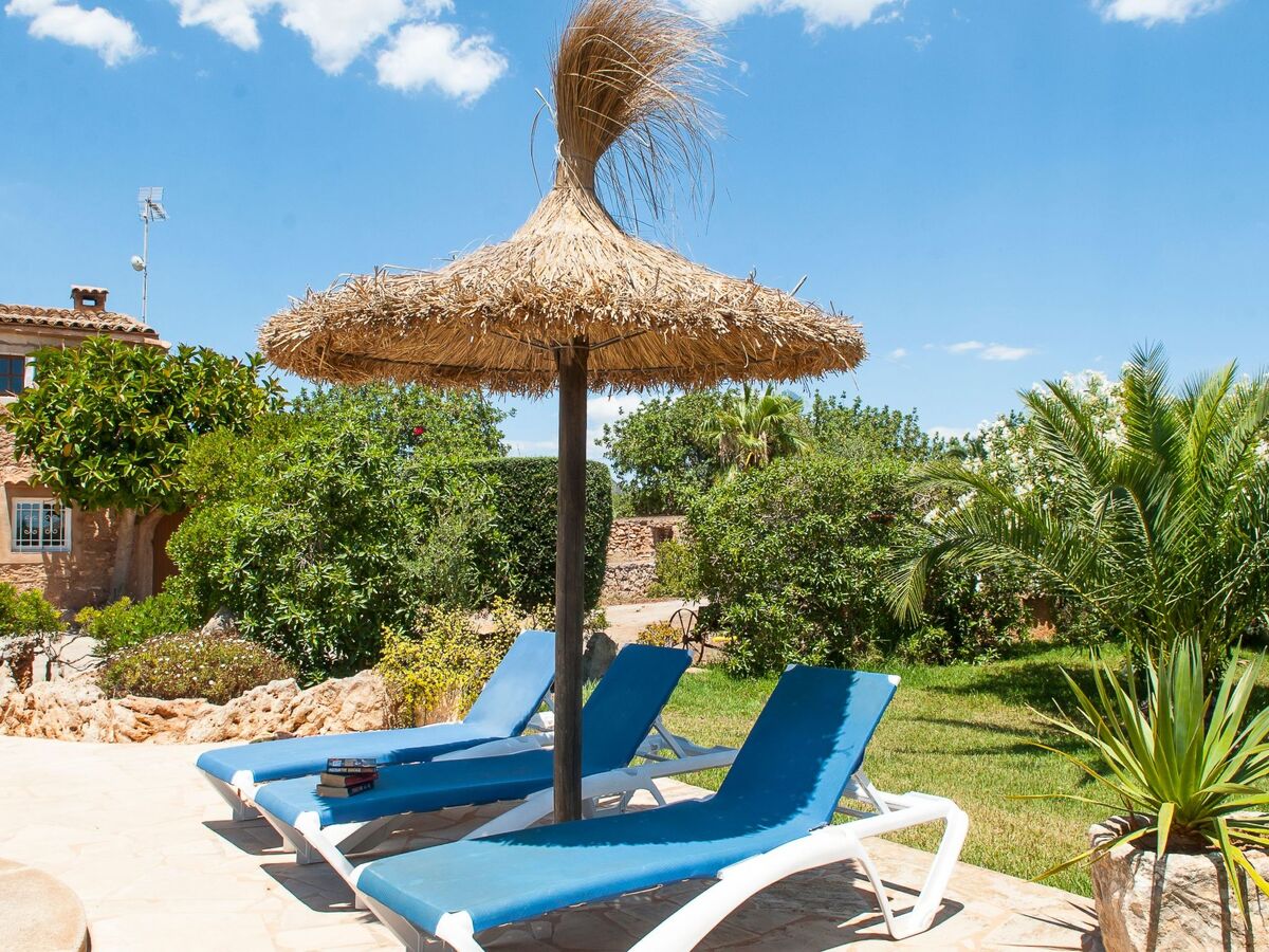 Tanca Nova – Finca traditionnelle 8 pers. avec piscine - Photo 5