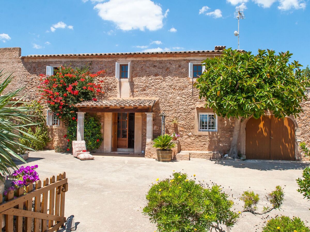 Tanca Nova – Finca traditionnelle 8 pers. avec piscine - Photo 19