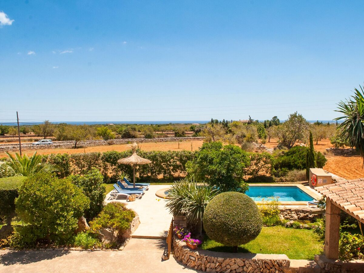 Tanca Nova – Finca traditionnelle 8 pers. avec piscine - Photo 21